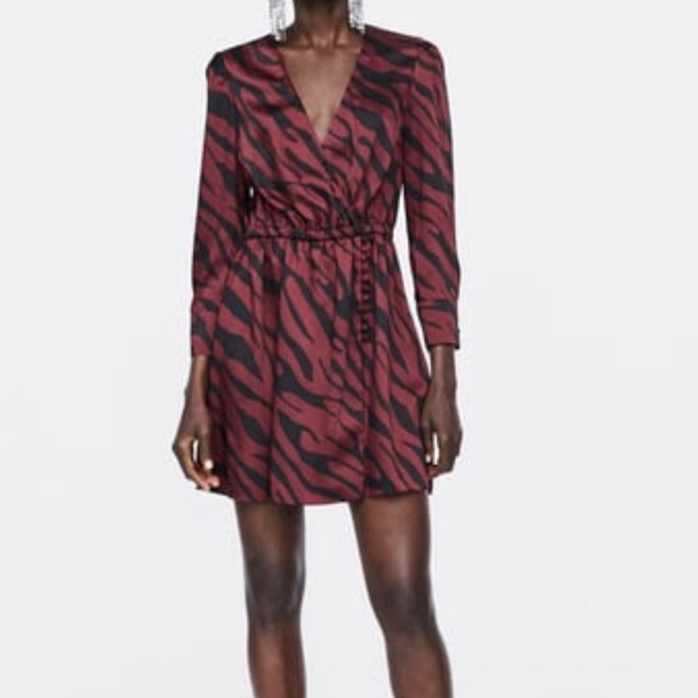 Zara dress